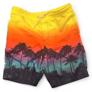 VGUC Boys Gradient Palm-Print Swim Trunks (Lands End Small, Size 6/7)